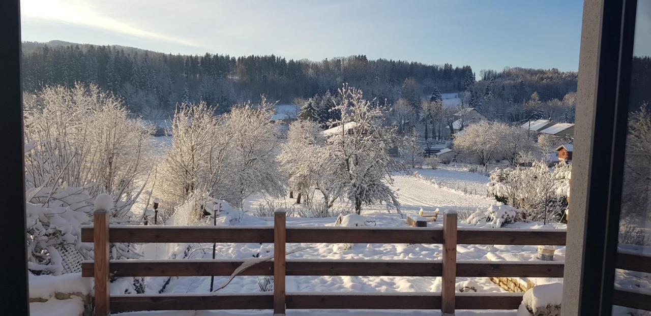 Le Jura En Toutes Saisons Piscine, Spa, Location Vtt, Balades 2Cv, Climatisation Bonlieu Екстериор снимка