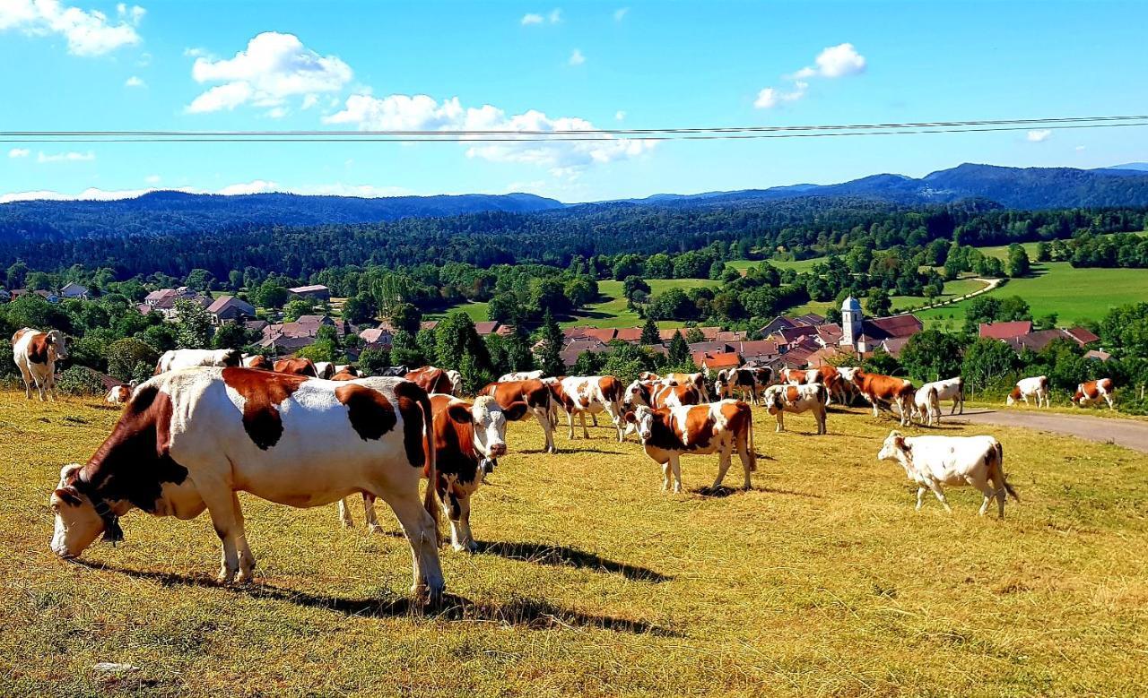 Le Jura En Toutes Saisons Piscine, Spa, Location Vtt, Balades 2Cv, Climatisation Bonlieu Екстериор снимка